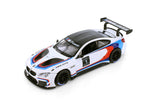 BMW M6 GT3 Showcasts 1/24