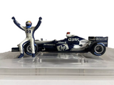 Williams BMW FW17 HotWheels 1/18